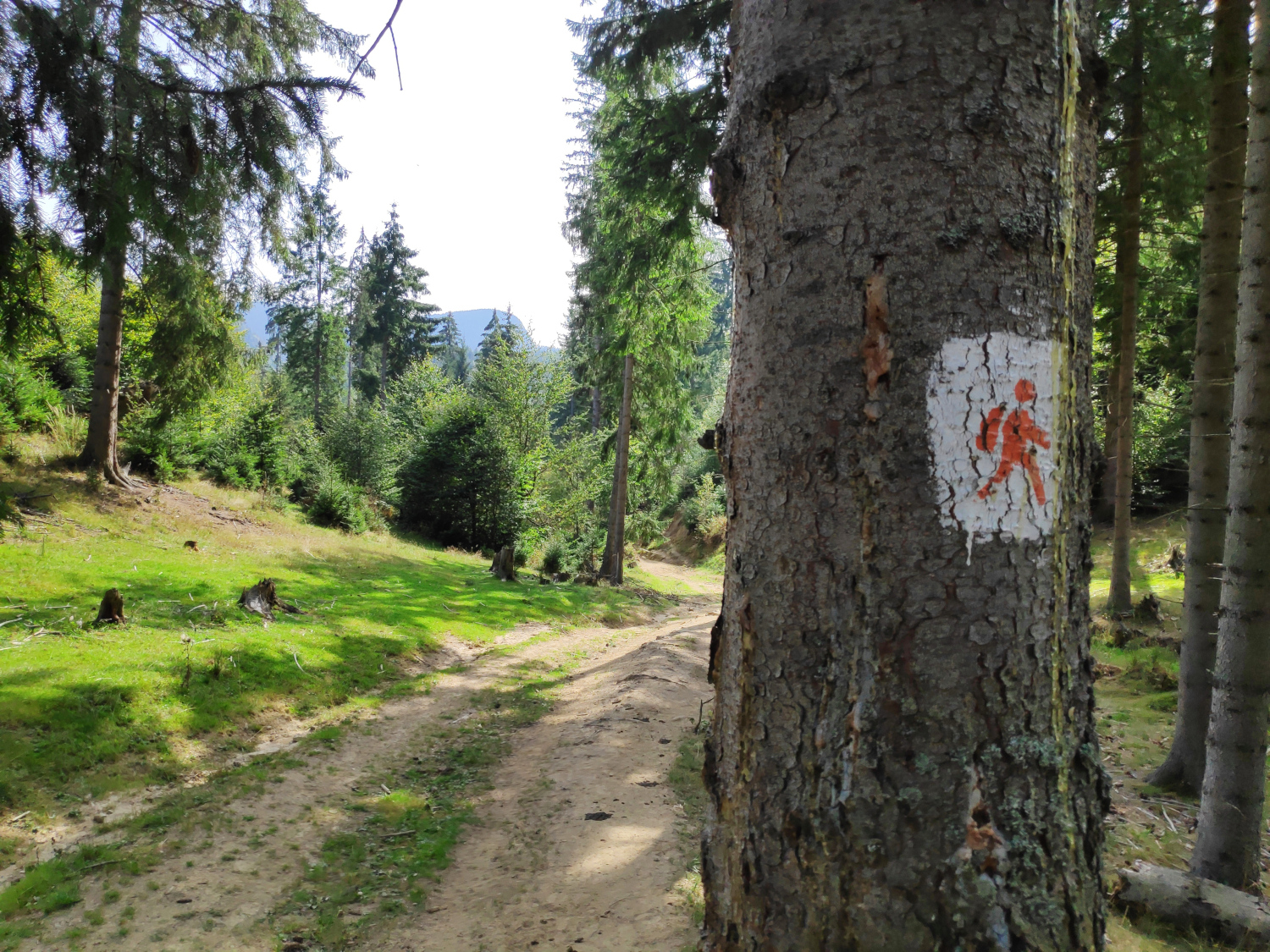 hiking-marked